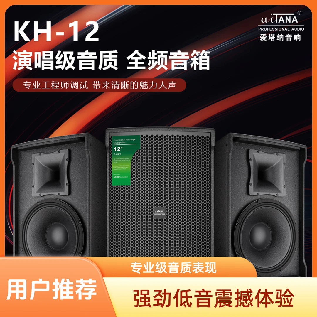 意大利爱塔纳专业高端酒吧电音派对房高端家庭KTV12寸音响人声
