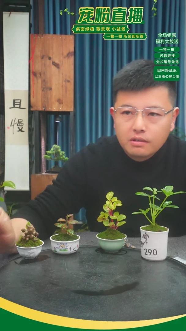 无花朵笑*苔藓微景观290号