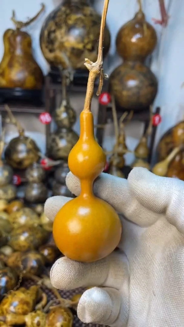 【闪购商品】葫芦葫芦葫芦葫芦