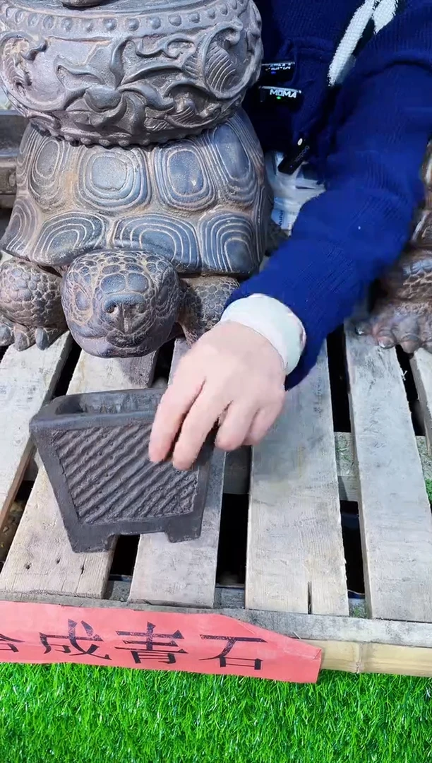 【闪购商品】复合盆c2-001