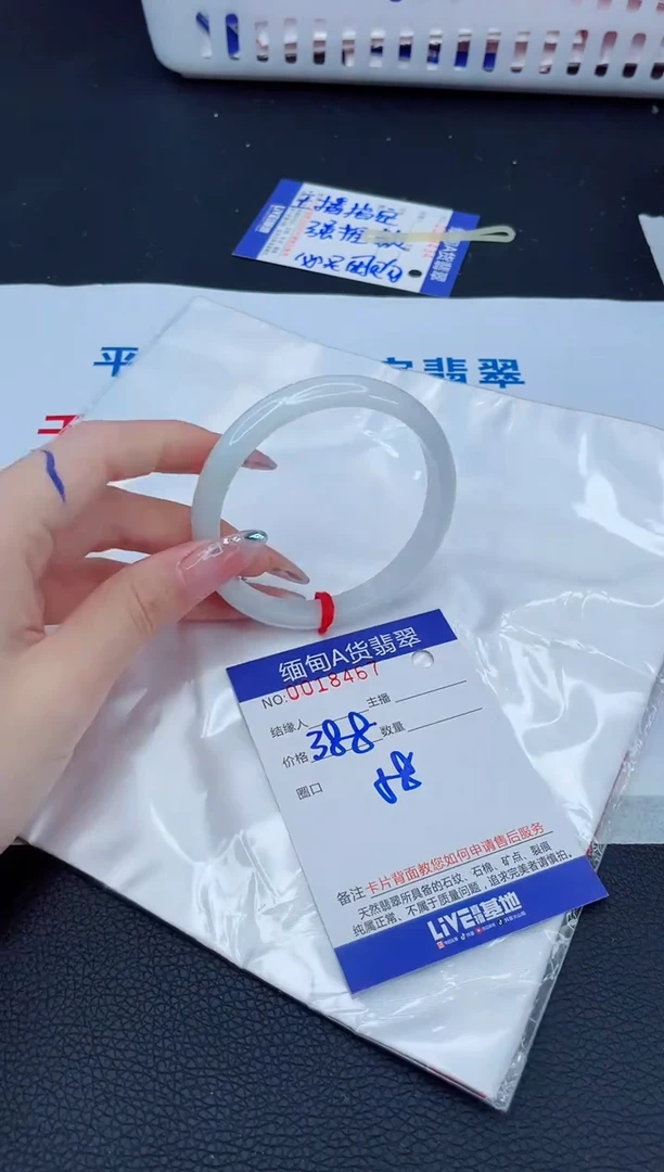 未镶嵌手镯翡翠1T