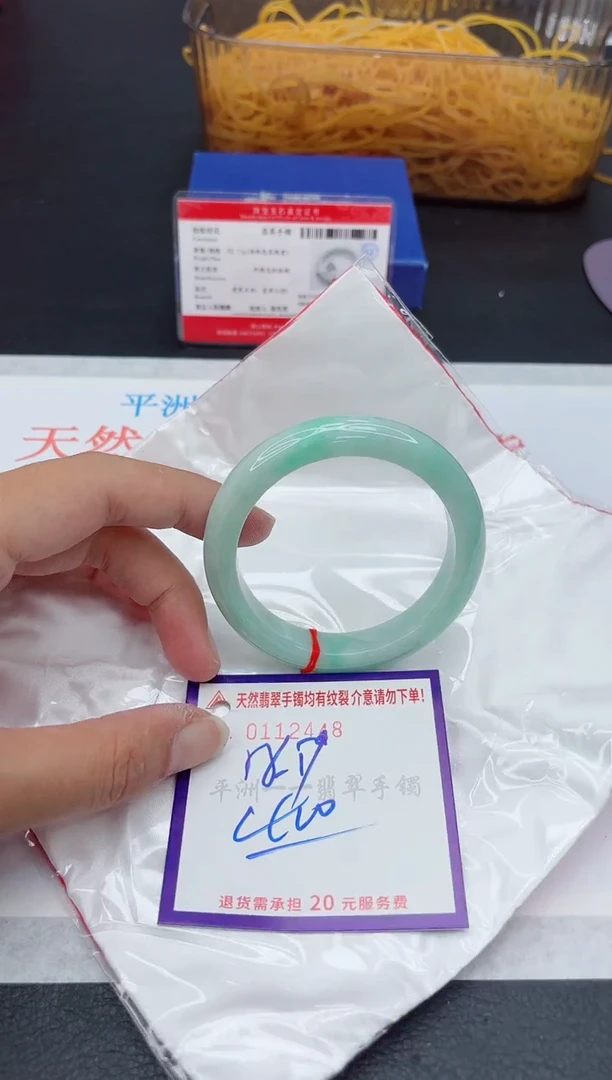 未镶嵌手镯翡翠11111111