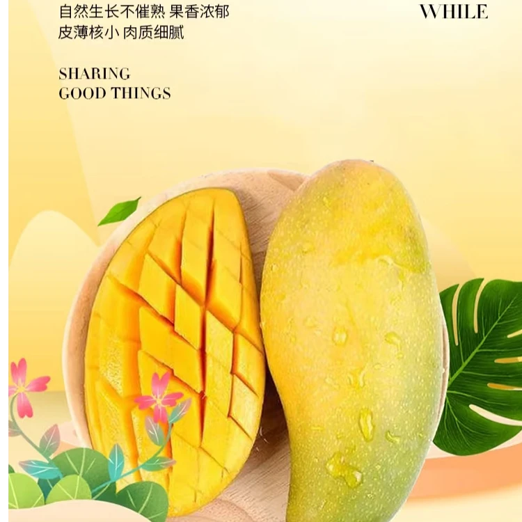 金煌芒果一颗450g起芒果同城送海南省