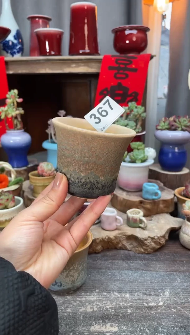 【闪购商品】摆件367知木小芳花盆