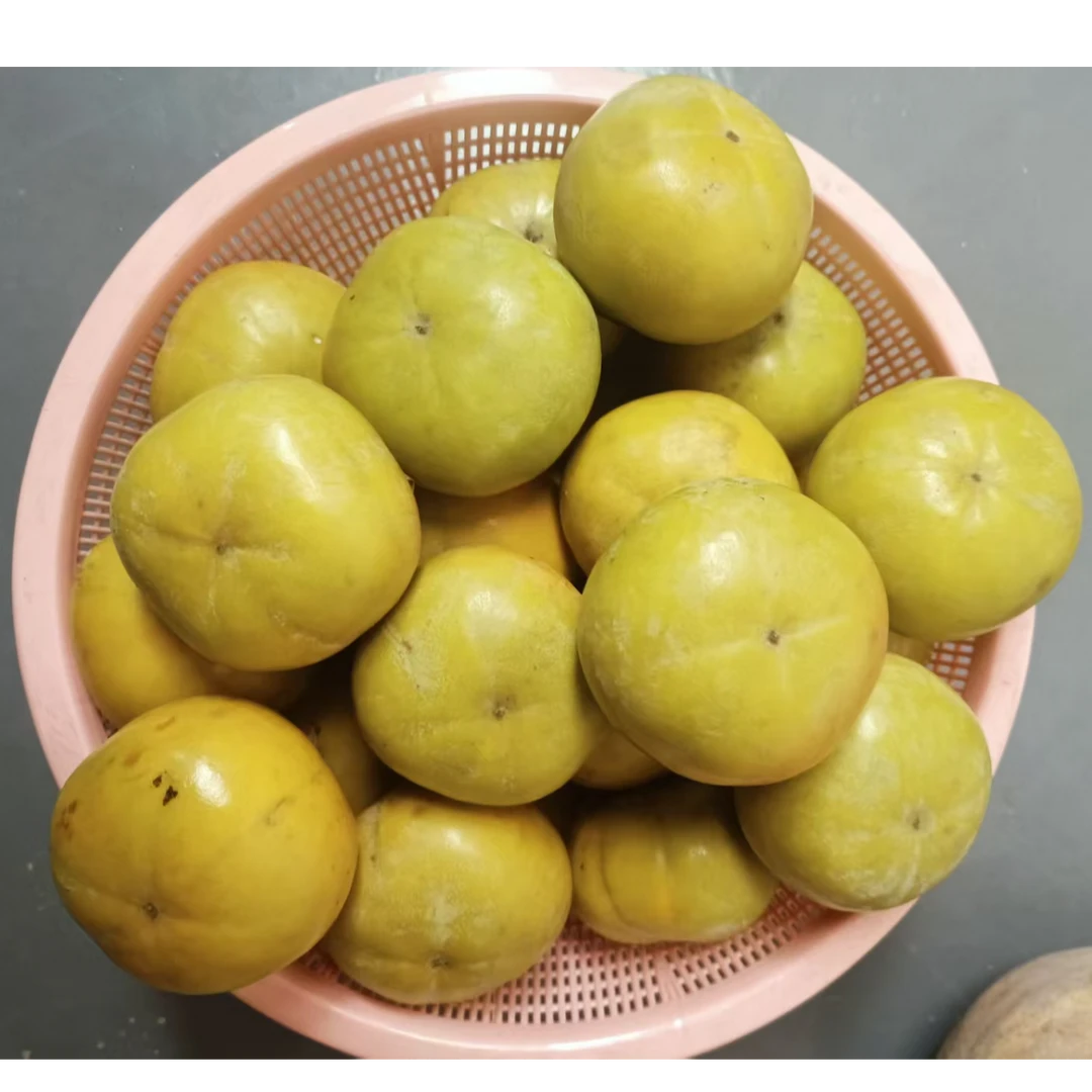 农家脆甜削皮柿子