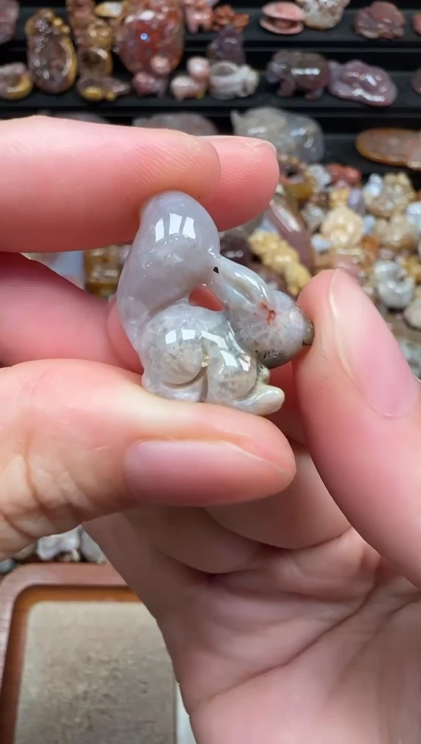 颈饰未镶嵌硅化珊瑚（珊瑚玉）298