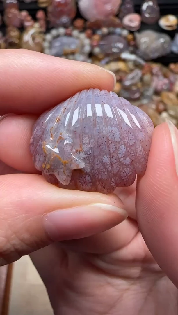 颈饰未镶嵌硅化珊瑚（珊瑚玉）644