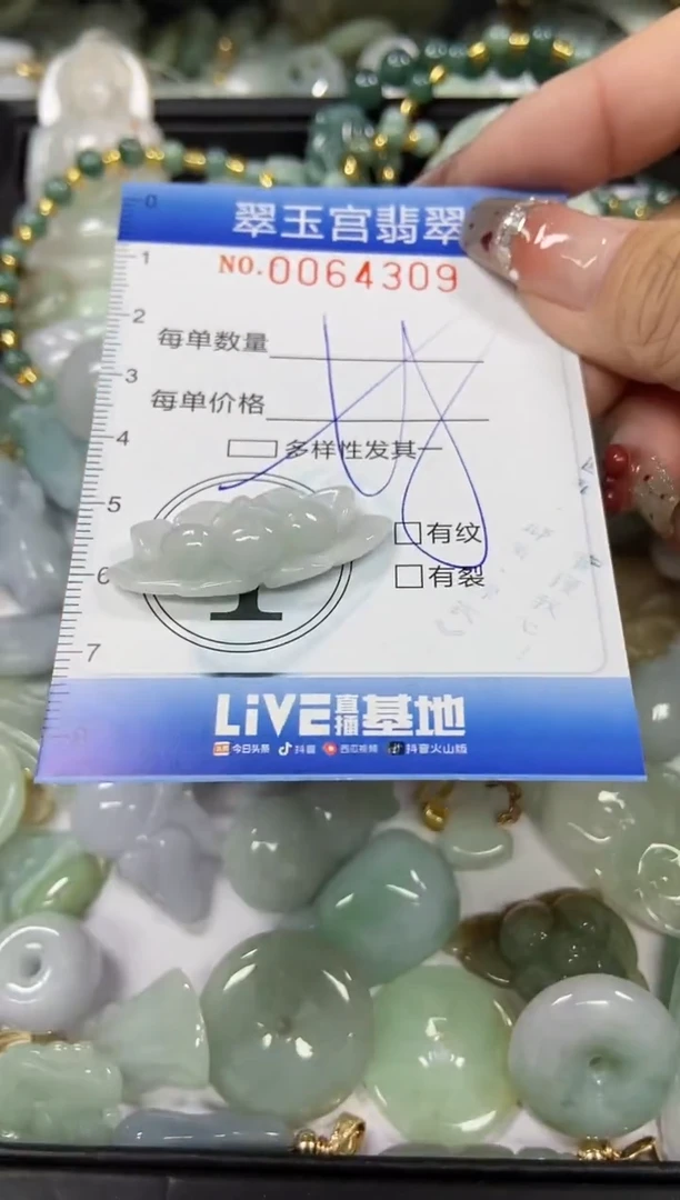 【闪购商品】翡翠颈饰未镶嵌闪购商品0064309多样性发其一