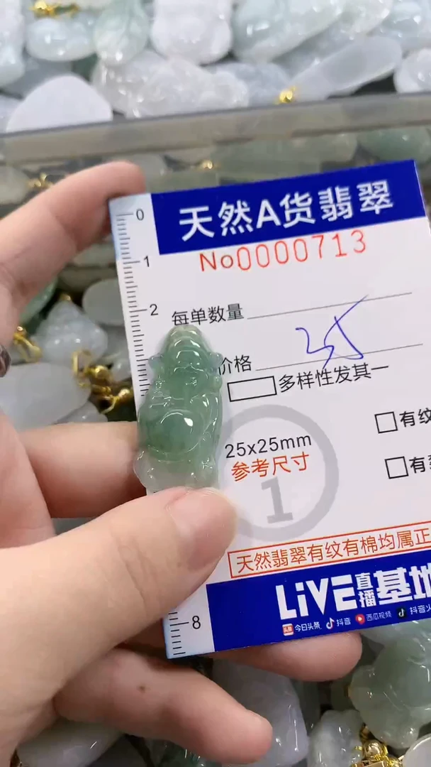 颈饰未镶嵌翡翠星****舟天然A货翡翠