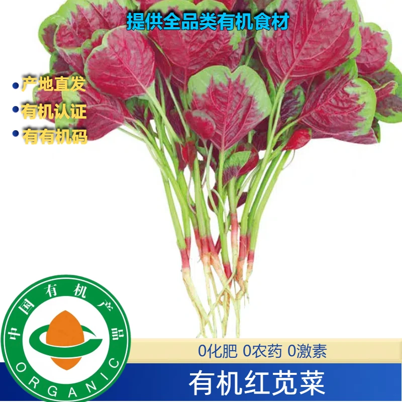 有机红苋菜3斤装,南京国环有机认证无农残新鲜健康自然绿色绿叶菜