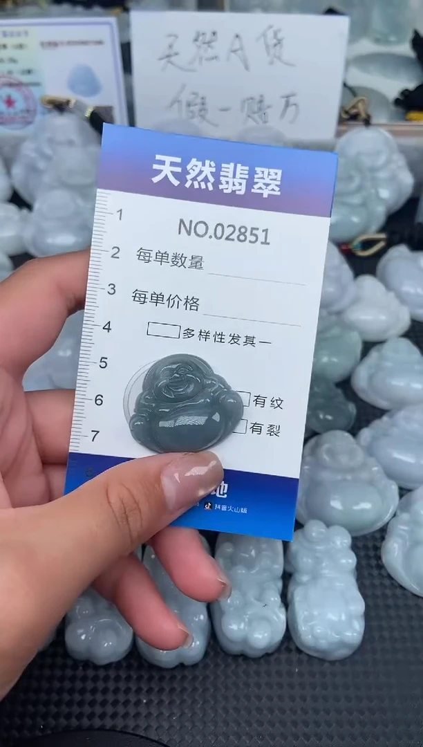 颈饰未镶嵌翡翠纯天然A货翡翠2851