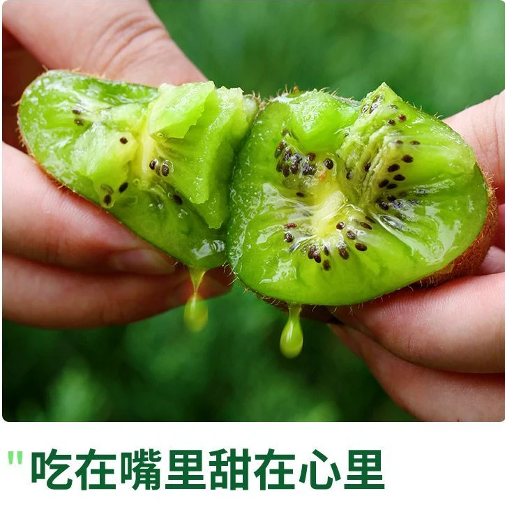 【果园现摘】陕西正宗眉县徐香猕猴桃新鲜应季水果整箱猕猴桃新鲜