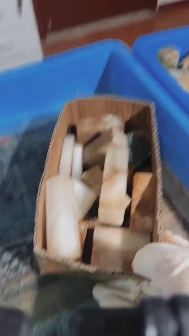 老挝石蚊*瑕疵不规则章