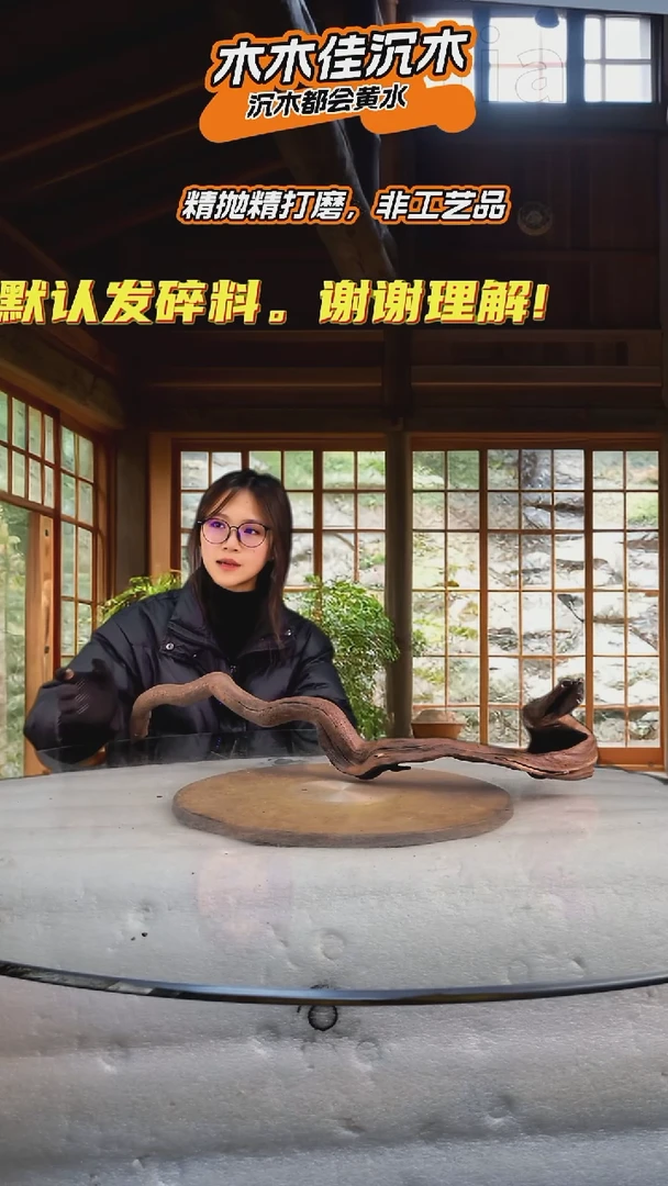 粥木木佳鱼缸造景沉木683