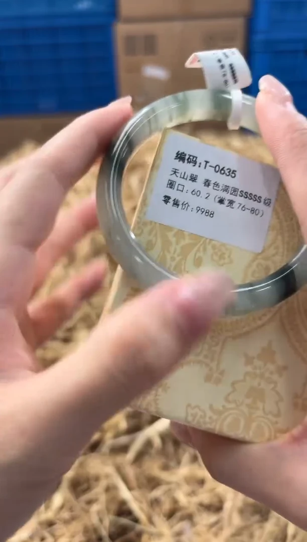 未镶嵌手镯石英质玉T-0635