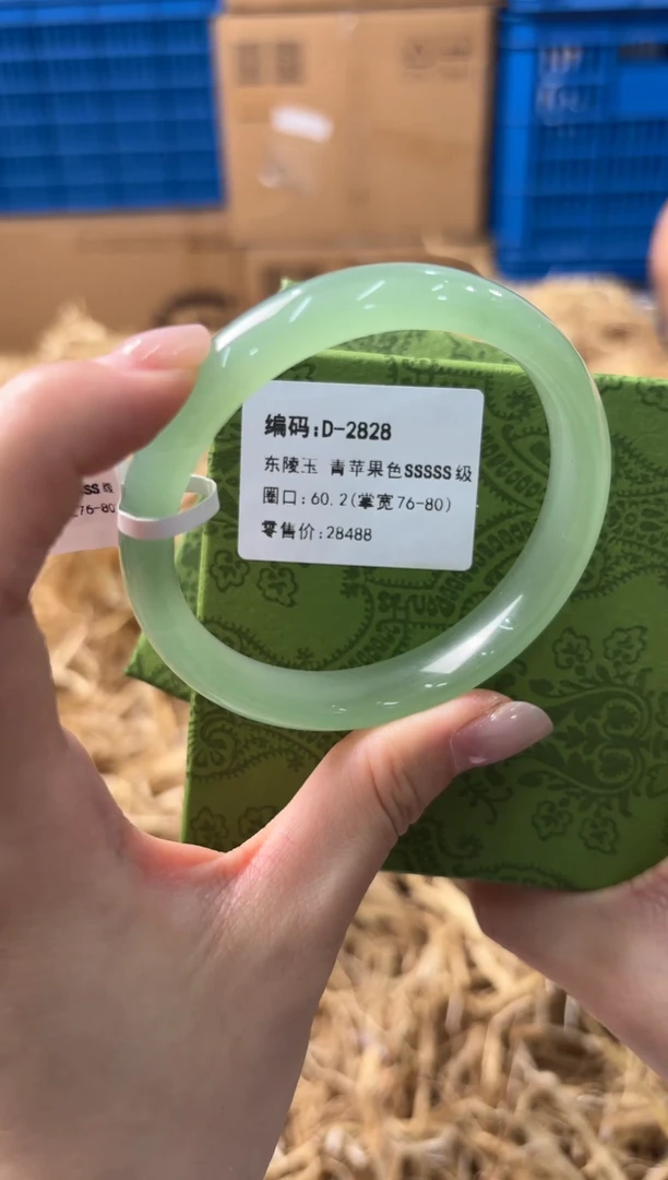 未镶嵌手镯石英质玉D2828