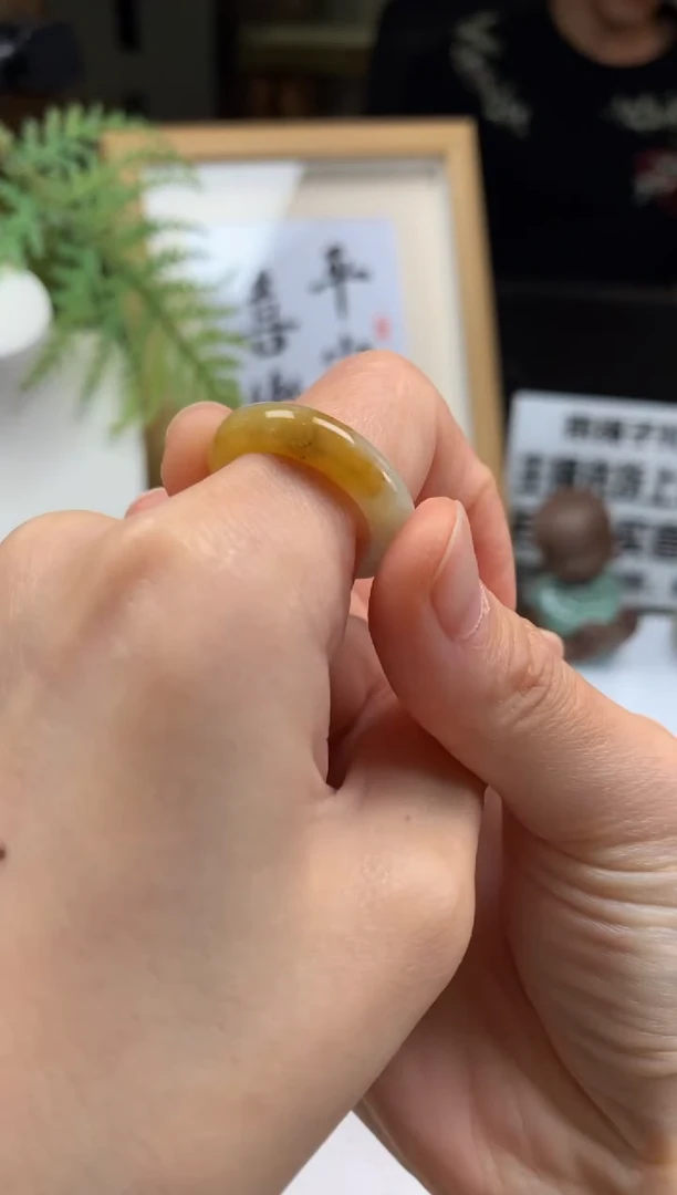 定制翡翠未镶嵌V****o---21316