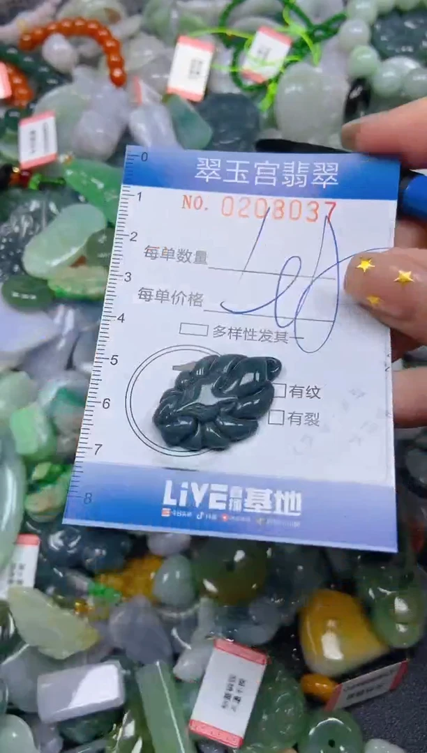 颈饰未镶嵌翡翠闪购C0208037