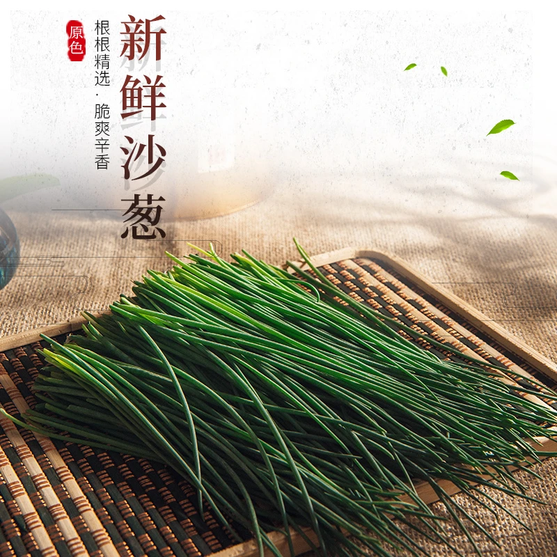 【顺丰快递】人工挑选沙葱新鲜甘肃民勤特产现摘沙葱新鲜家常菜
