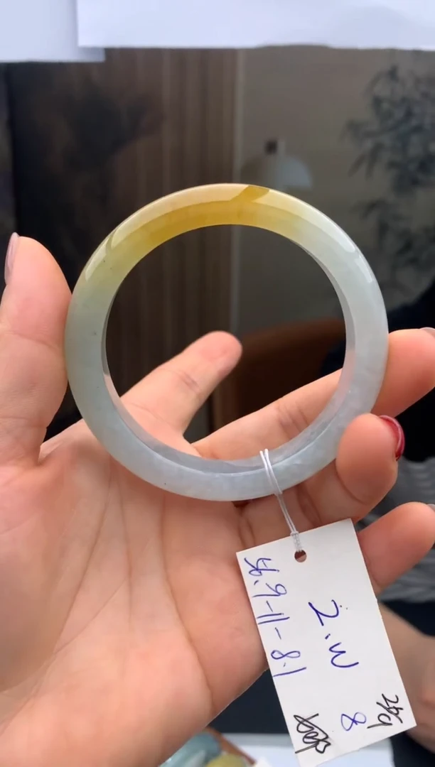 未镶嵌手镯翡翠8