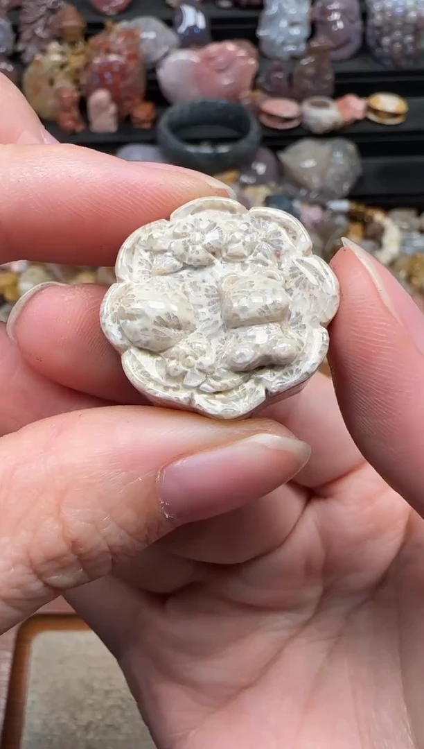 颈饰未镶嵌硅化珊瑚（珊瑚玉）337