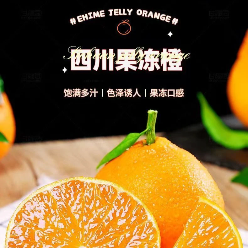 【青见果冻橙】四川新鲜采摘多汁健康鲜甜甄选现发