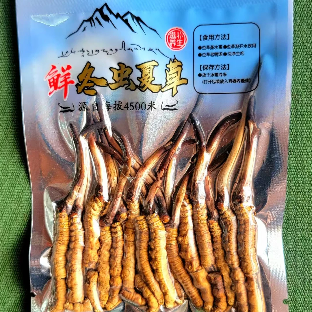 【牦牛哥鲜虫草】精品断草 海拔4000米高原天生天养新鲜虫草