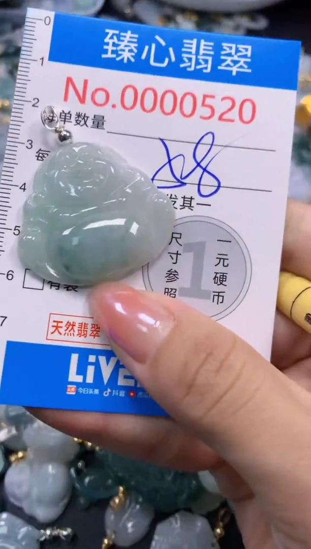 颈饰未镶嵌翡翠520