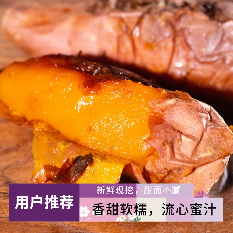 山东烟薯25蜜薯新果