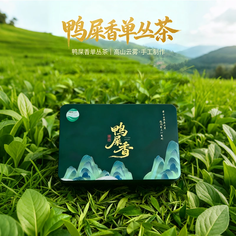 枕头岽潮州鸭屎香单丛茶