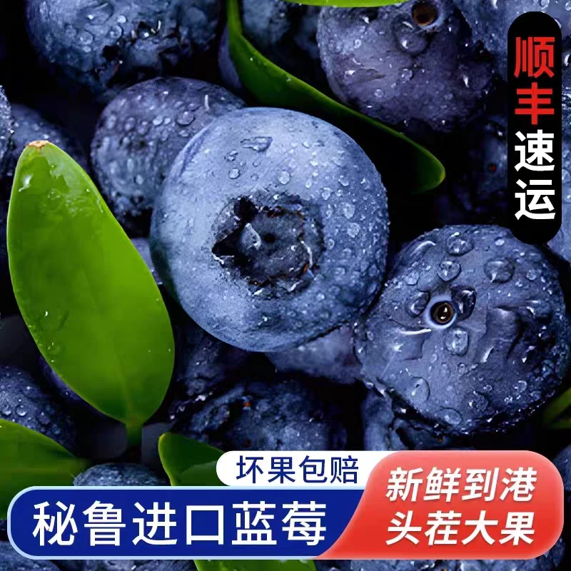 【顺丰鲜果】秘鲁进口蓝莓大果孕妇当季蓝莓鲜果整箱S9-6S1