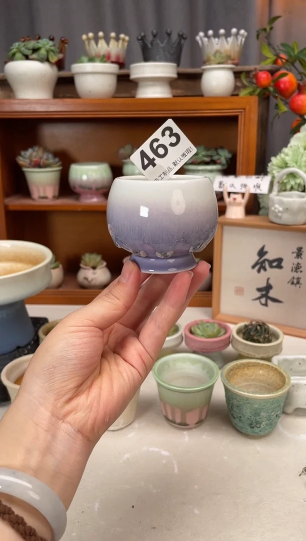 瓷片463知木小芳花盆直播编号