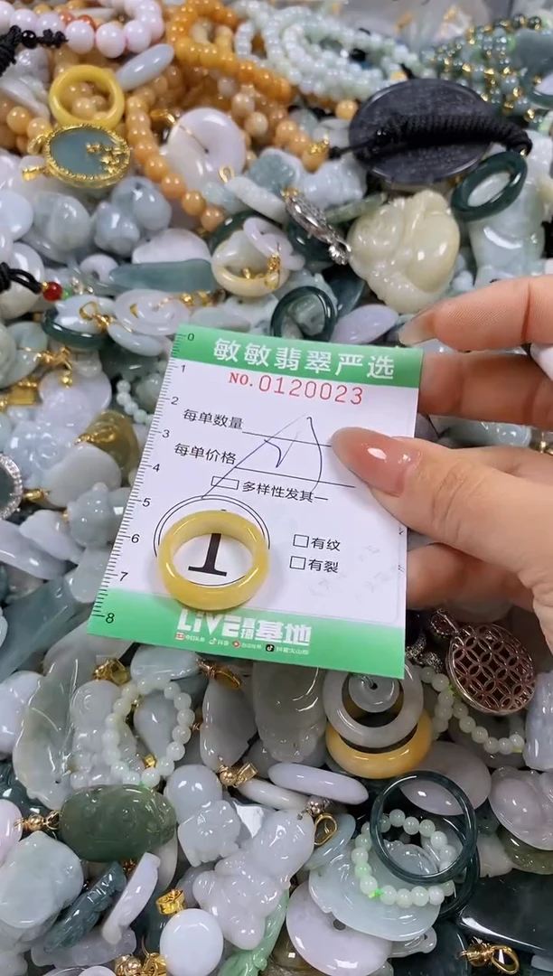 【闪购商品】翡翠颈饰未镶嵌闪购0120023多样性发其一