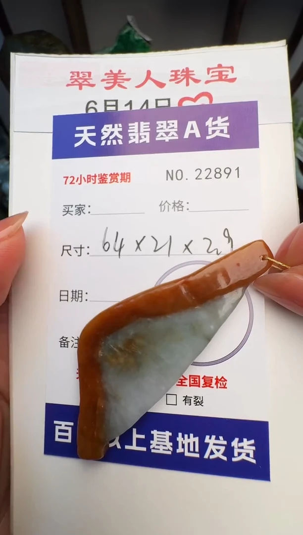 翡翠未镶嵌颈饰原石22891