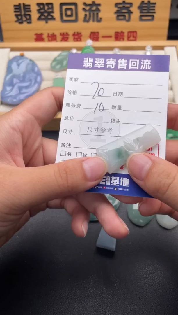 颈饰未镶嵌翡翠10147018