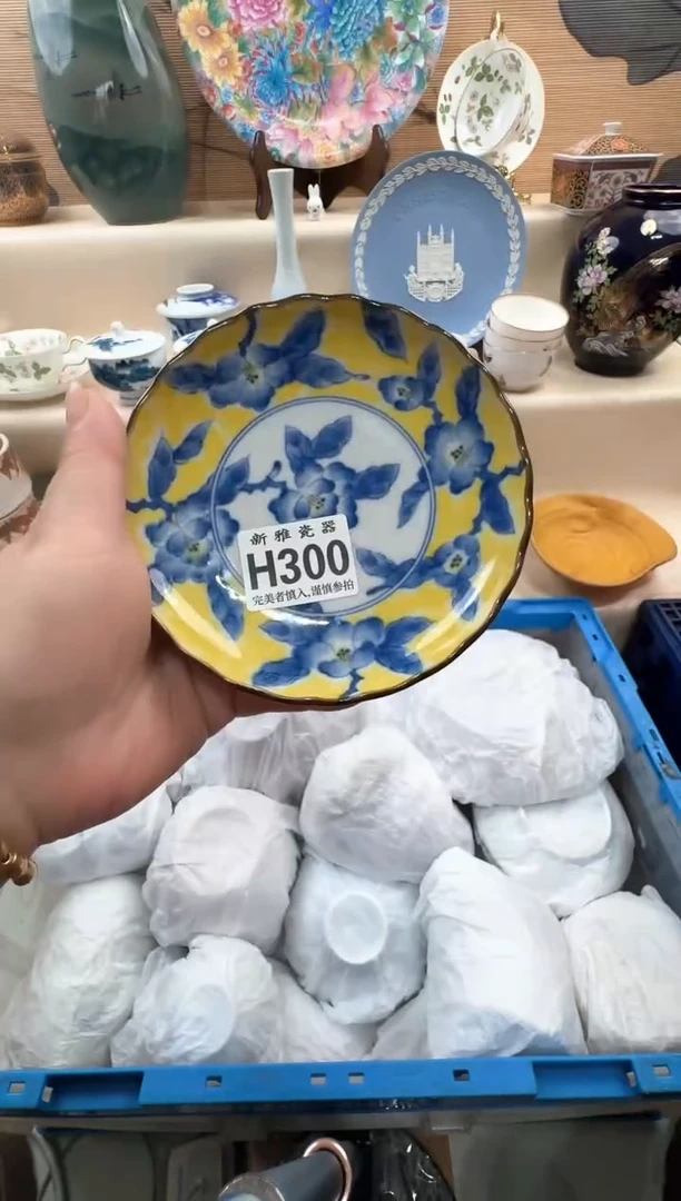 瓷片娜***5         h300