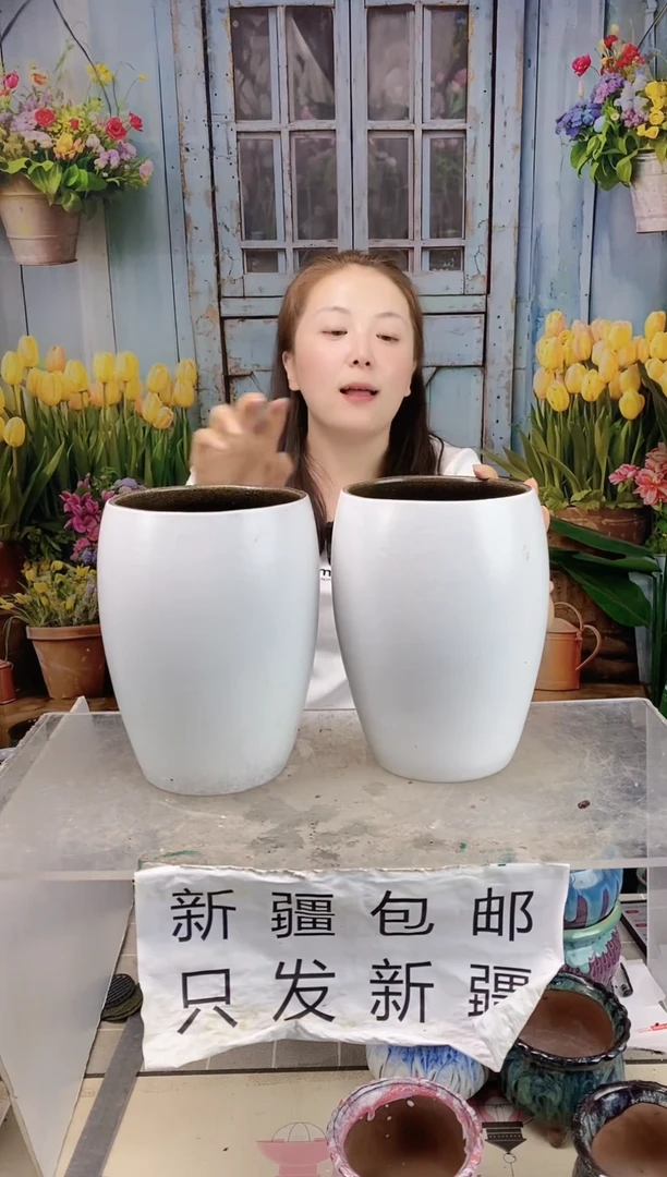 017白色蛋形陶盆两个装  口15高23