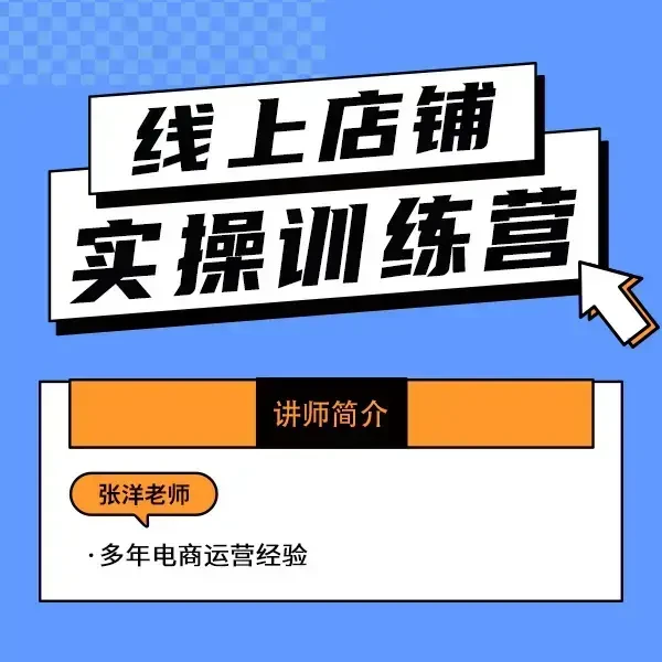 2025跨境电商运营陪跑(注意查看短信对接）