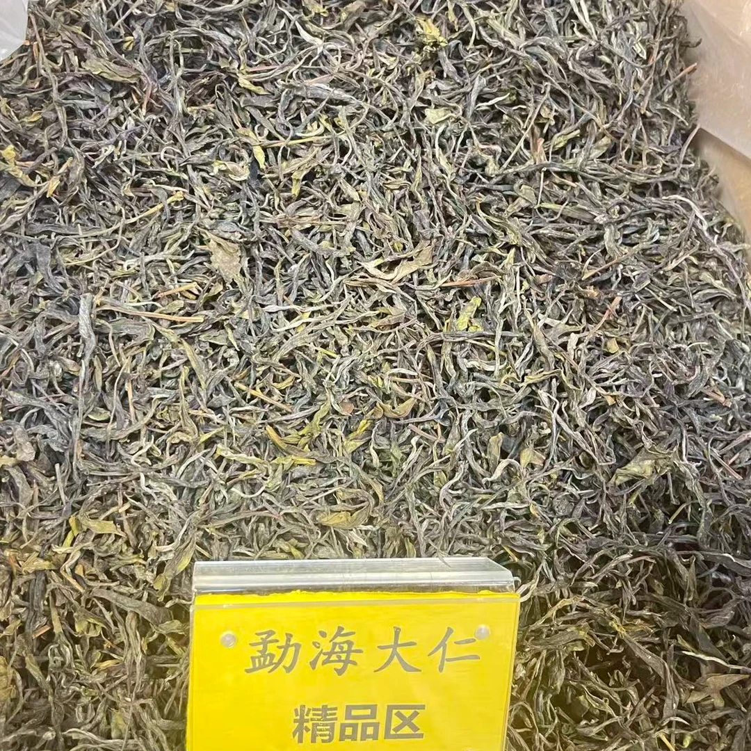 DR9-24【A-A72】“普洱茶”2025年哀牢山森林（奇香）单株古树春生散茶