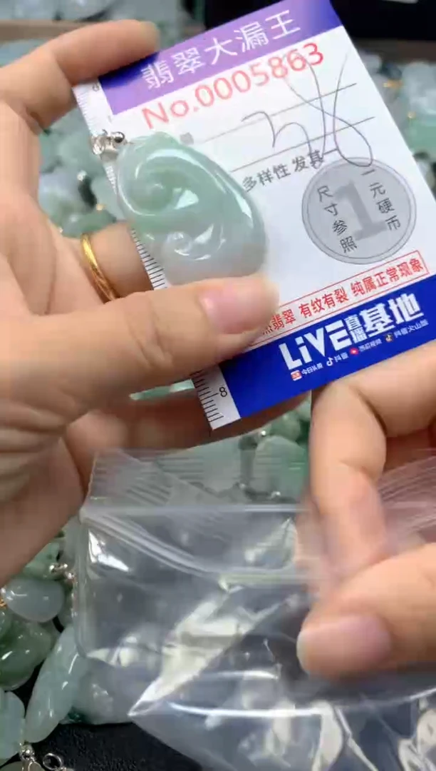 翡翠未镶嵌吊坠(不含链)5863