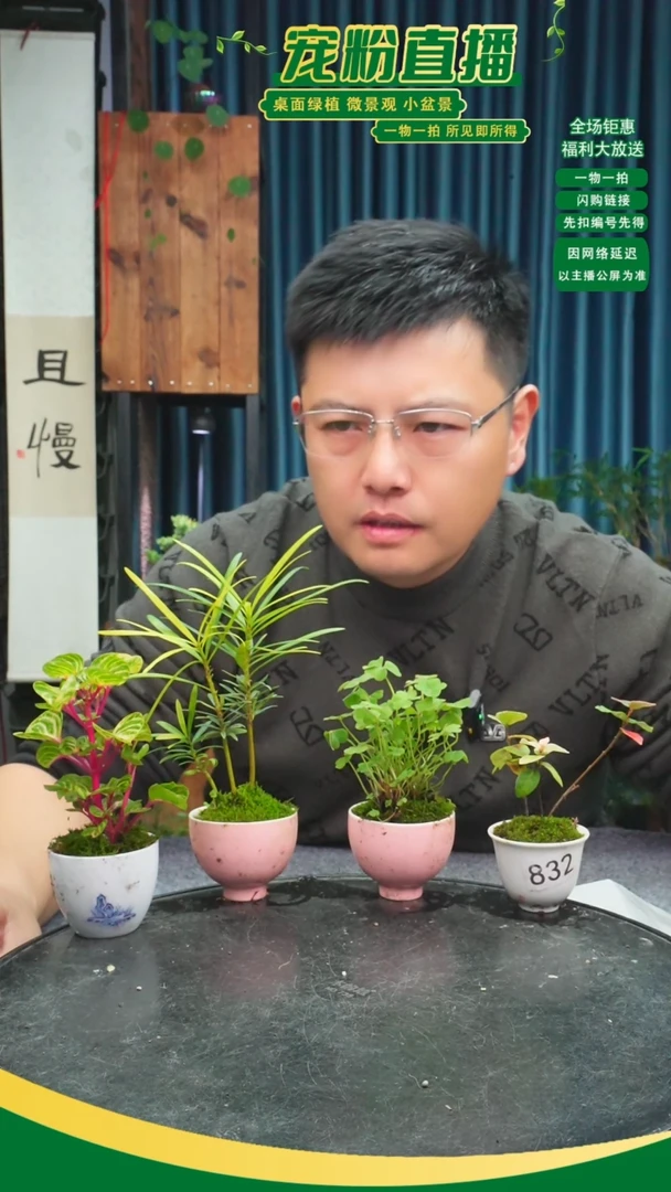 无花朵执***࿐苔藓微景观832号