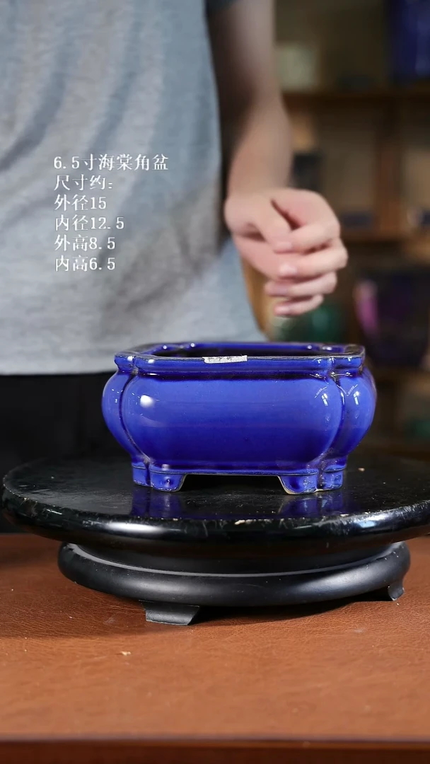 6.5寸海棠角盆 家居级124