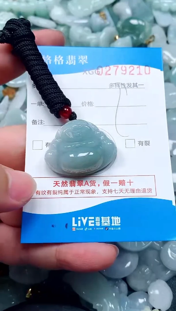 翡翠未镶嵌颈饰闪购商品0279210