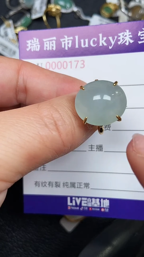 颈饰银S925镶嵌翡翠0173