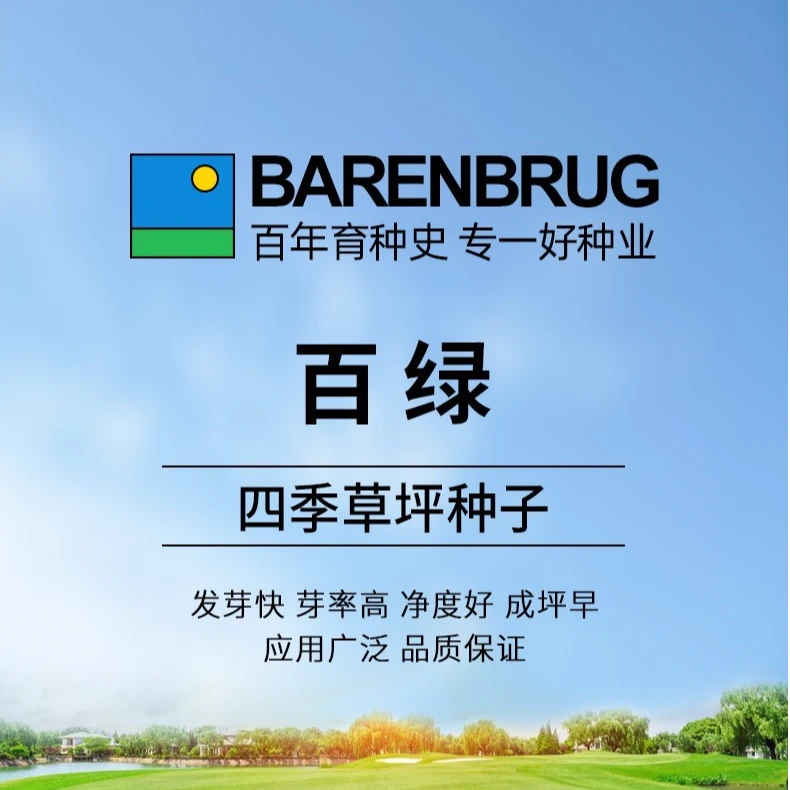 百萌百绿草业草坪种子 牧草种子 草籽试种装