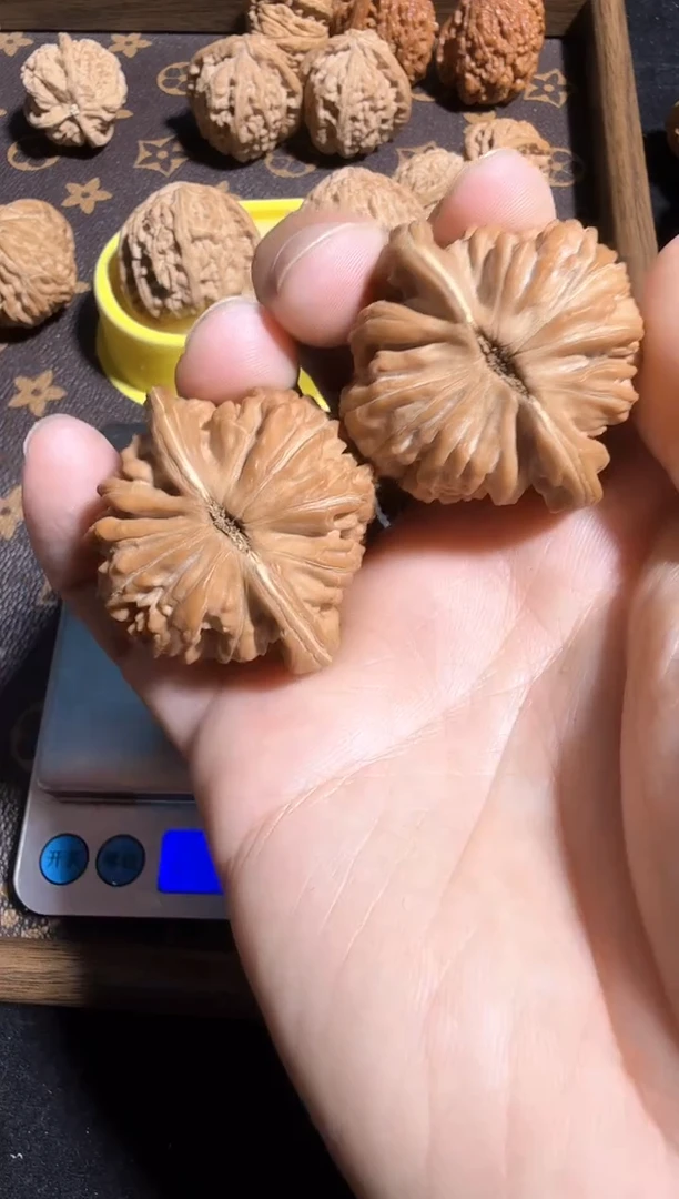 把件核桃41.9尺汉高楼