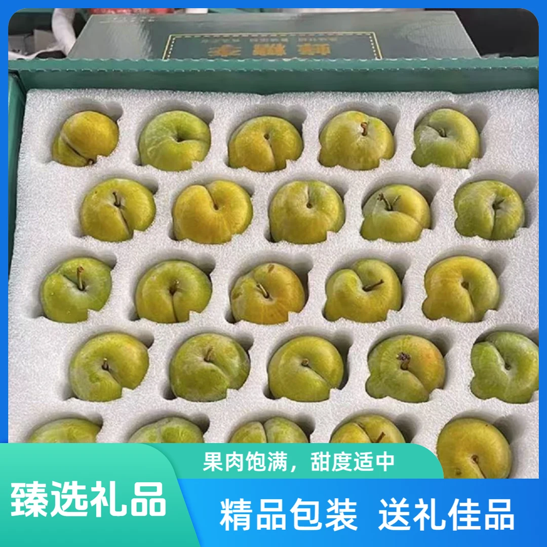 【礼品装】四川高山青脆脱骨李新鲜应季水果孕妇水果