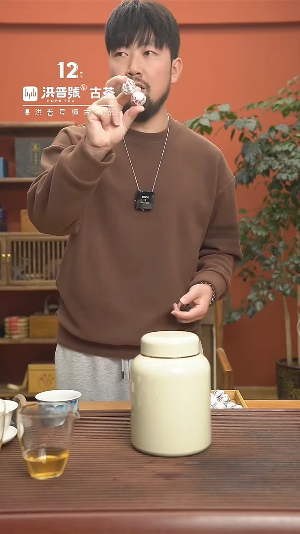 【闪购商品】21年春【莫问6】普洱生茶龙珠66颗/罐