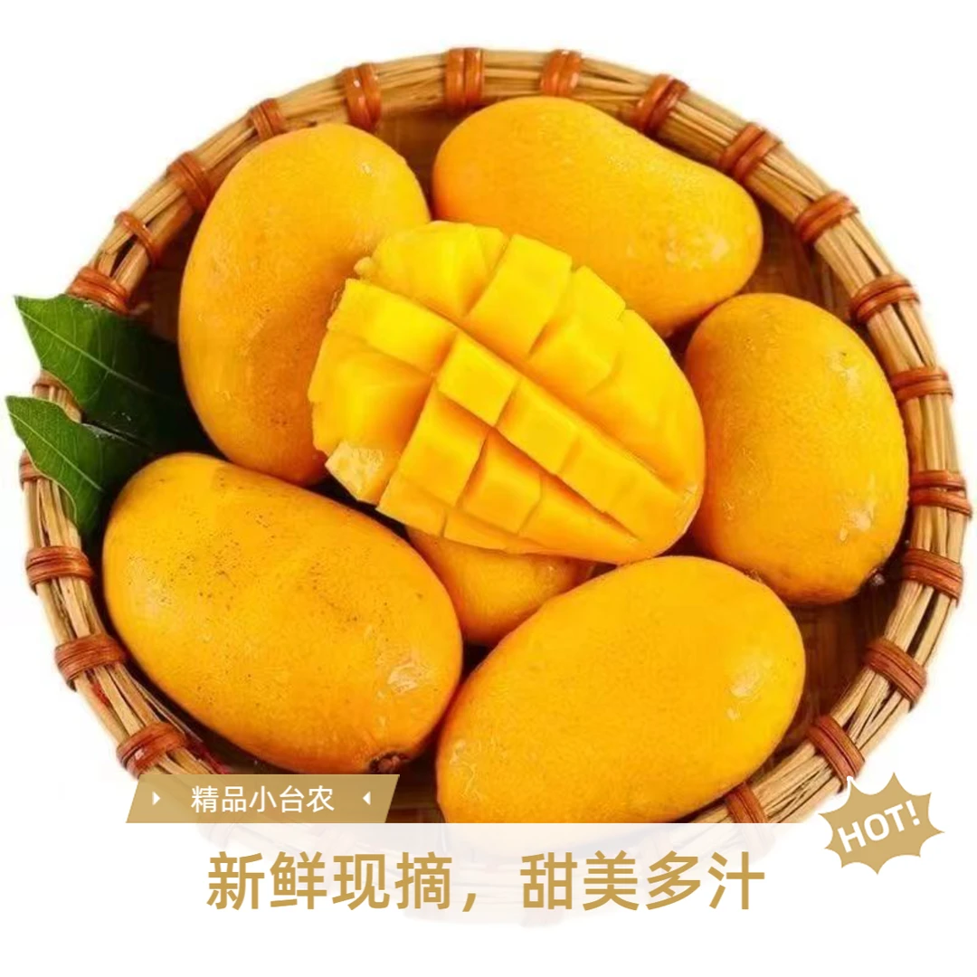 新鲜应季百色台农大果芒果