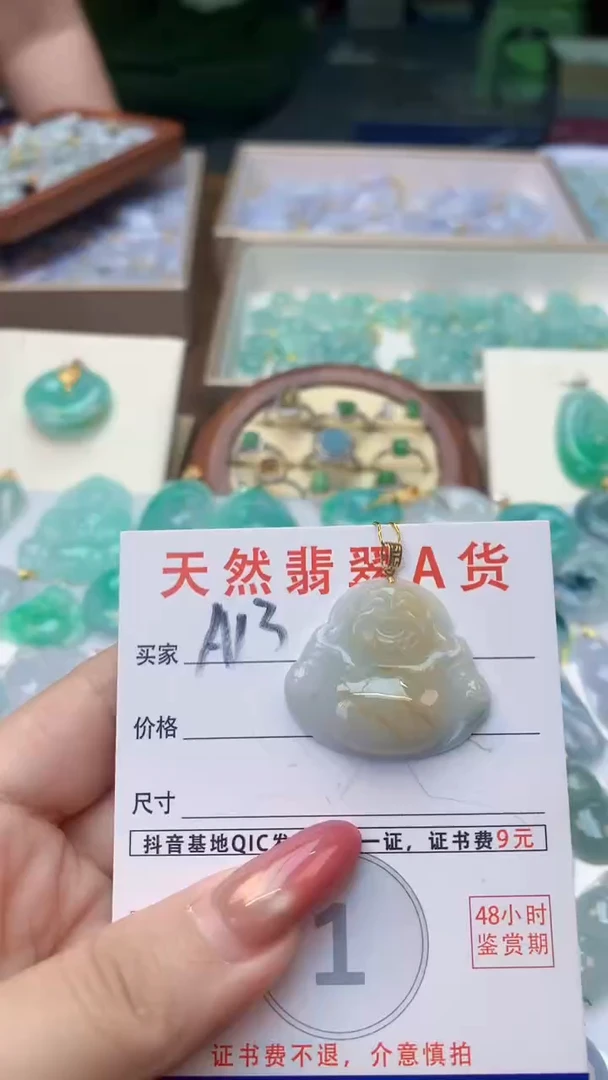 颈饰未镶嵌翡翠天然A货翡翠挂件